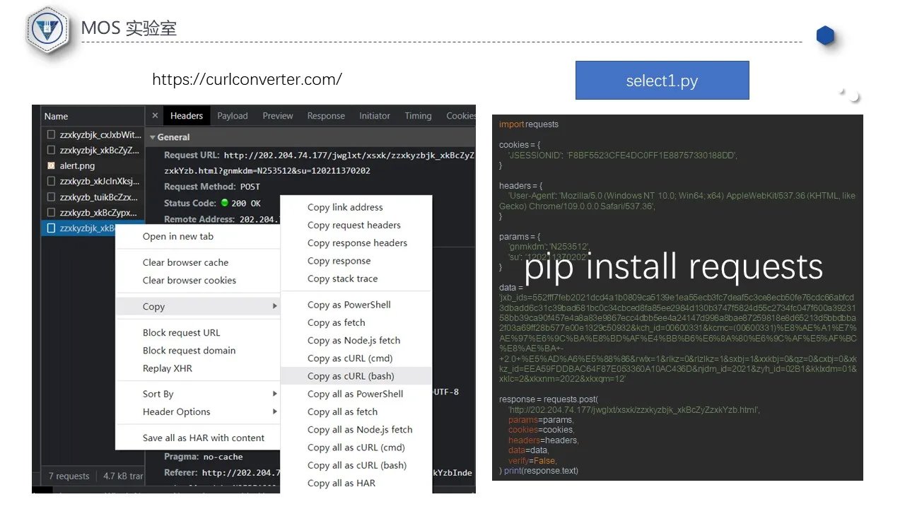 Slide13.JPG