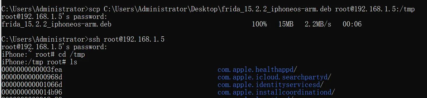 image-20240204162351683